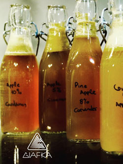 Fermentation Elements,   .