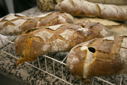 Webinar - Bread Chemistry