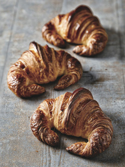 All About Croissant